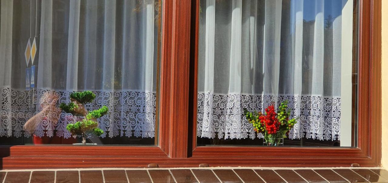 Apartamencik Maja Studio Apartamento Kudowa-Zdrój Exterior foto