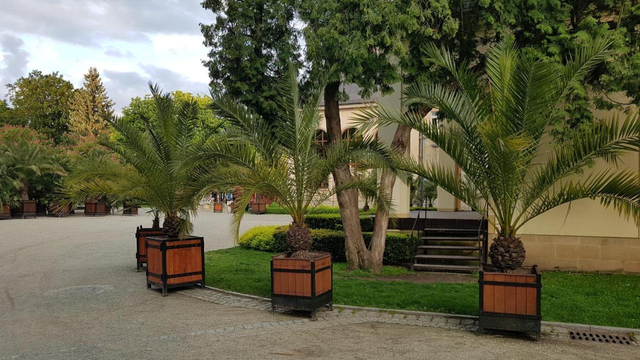 Apartamencik Maja Studio Apartamento Kudowa-Zdrój Exterior foto